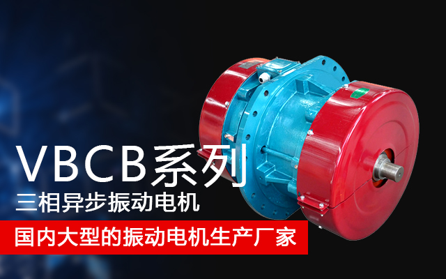 VBCB系列三相異步振動(dòng)電機(jī) 